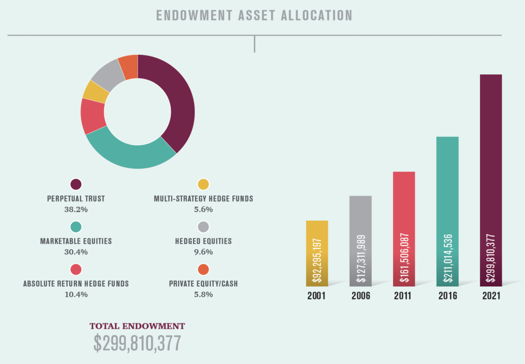 Endowment Asset Allocation
